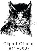 Cat Clipart #1146037 by Prawny Vintage