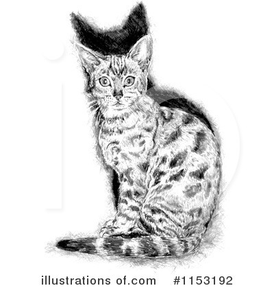 Royalty-Free (RF) Cat Clipart Illustration by lineartestpilot - Stock Sample #1153192