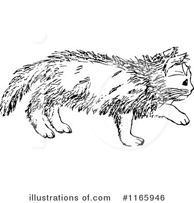 Royalty-Free (RF) Cat Clipart Illustration by Prawny Vintage - Stock Sample #1165946