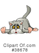 Cat Clipart #38678 by dero