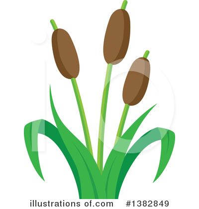 Cattail Clipart #1382849 by visekart