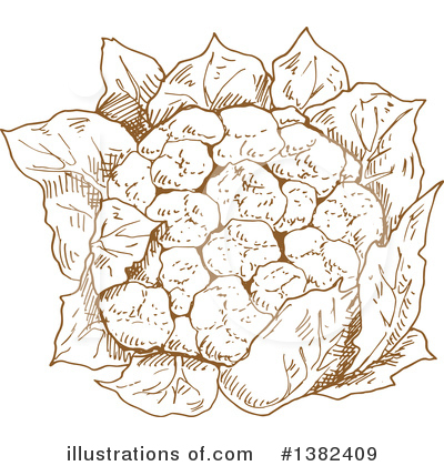 Royalty-Free (RF) Cauliflower Clipart Illustration by Vector Tradition SM - Stock Sample #1382409