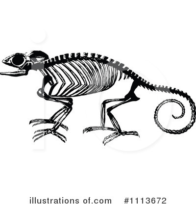 Skeleton Clipart #1113672 by Prawny Vintage