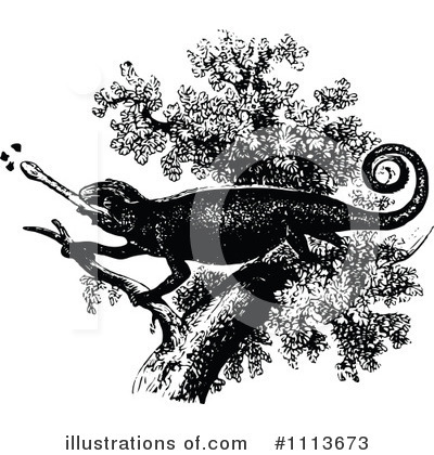 Royalty-Free (RF) Chameleon Clipart Illustration by Prawny Vintage - Stock Sample #1113673