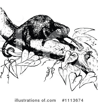 Royalty-Free (RF) Chameleon Clipart Illustration by Prawny Vintage - Stock Sample #1113674