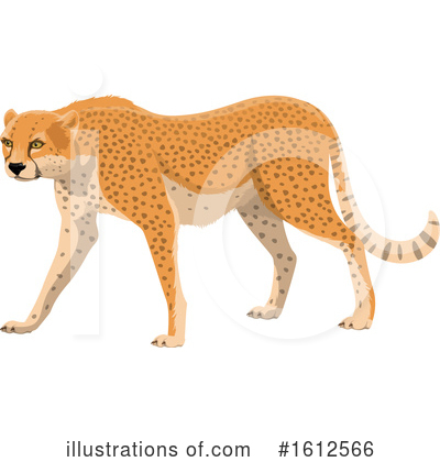Cheetah Clipart #1612566 by Vector Tradition SM