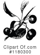 Cherry Clipart #1180300 by Prawny Vintage