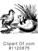 Chick Clipart #1120875 by Prawny Vintage