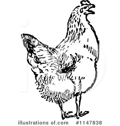 Royalty-Free (RF) Chicken Clipart Illustration by Prawny Vintage - Stock Sample #1147838