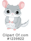 Chinchilla Clipart #1239822 by Pushkin