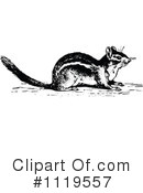 Chipmunk Clipart #1119557 by Prawny Vintage