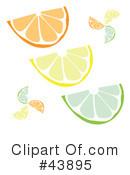 Citrus Clipart #43895 by Arena Creative