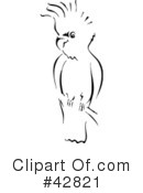 Cockatoo Clipart #42821 by Dennis Holmes Designs