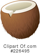 Coconut Clipart #226495 by TA Images