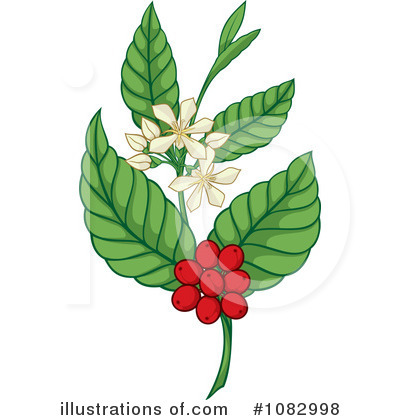 Coffee Berries Clipart #1082998 by Any Vector
