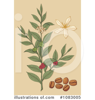 Coffee Berries Clipart #1083005 by Any Vector