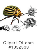 Colorado Potato Beetle Clipart #1332333 by dero