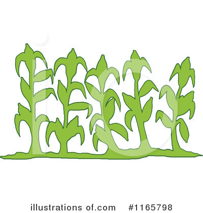 Royalty-Free (RF) Corn Clipart Illustration by LaffToon - Stock Sample #1165798
