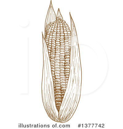 Royalty-Free (RF) Corn Clipart Illustration by Vector Tradition SM - Stock Sample #1377742