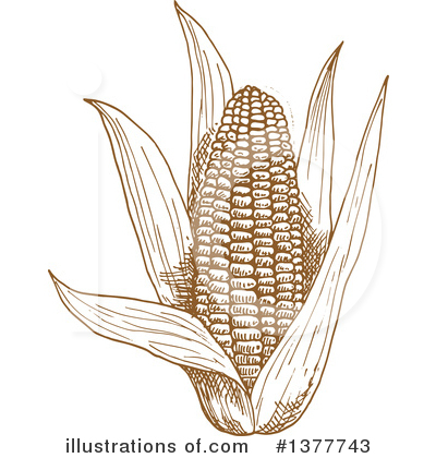 Royalty-Free (RF) Corn Clipart Illustration by Vector Tradition SM - Stock Sample #1377743