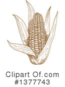 Corn Clipart #1377743 by Vector Tradition SM