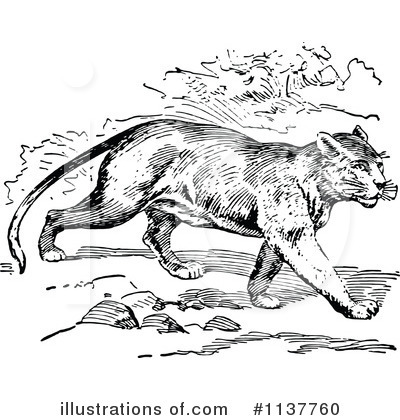 Royalty-Free (RF) Cougar Clipart Illustration by Prawny Vintage - Stock Sample #1137760