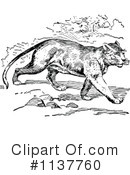 Cougar Clipart #1137760 by Prawny Vintage