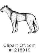 Cougar Clipart #1218919 by Picsburg