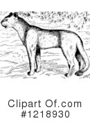Cougar Clipart #1218930 by Picsburg