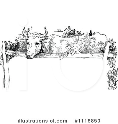 Royalty-Free (RF) Cow Clipart Illustration by Prawny Vintage - Stock Sample #1116850