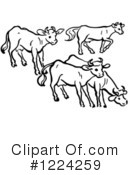 Cow Clipart #1224259 by Picsburg