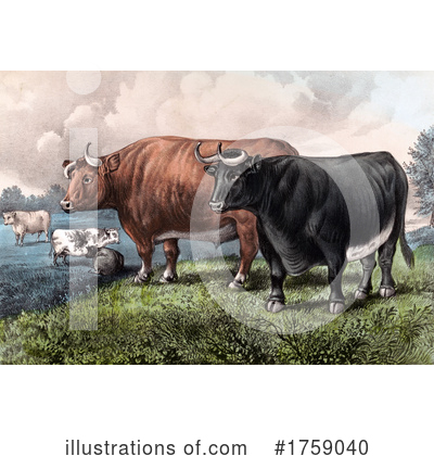 Cattle Clipart #1759040 by JVPD