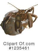 Crab Clipart #1235461 by dero