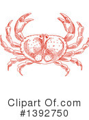 Crab Clipart #1392750 by Vector Tradition SM