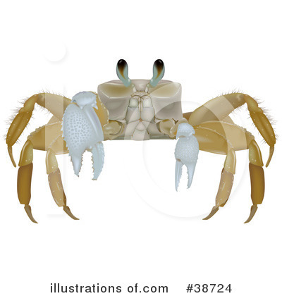Royalty-Free (RF) Crab Clipart Illustration by dero - Stock Sample #38724