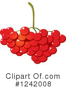 Cranberry Clipart #1242008 by Vector Tradition SM