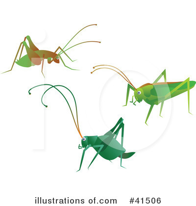 Crickets Clipart #41506 by Prawny