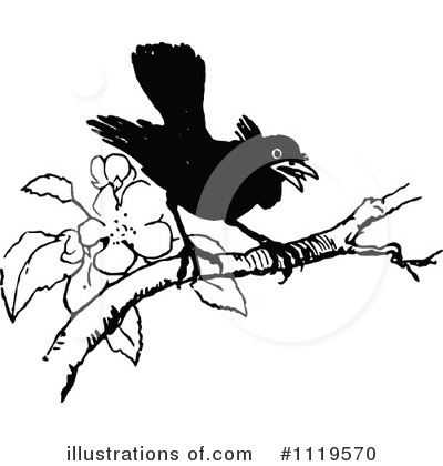 Raven Clipart #1119570 by Prawny Vintage