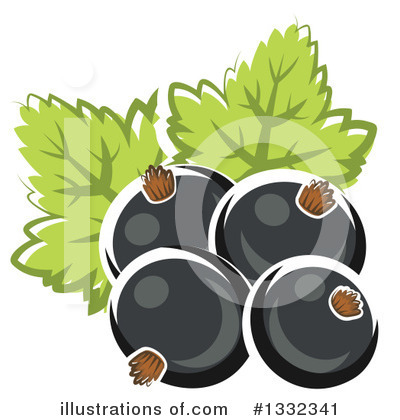 Black Currants Clipart #1332341 by Vector Tradition SM