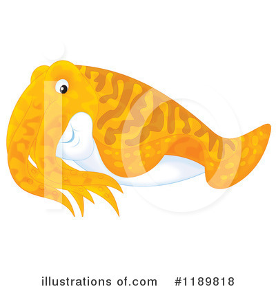 Cuttlefish Clipart #1189818 by Alex Bannykh