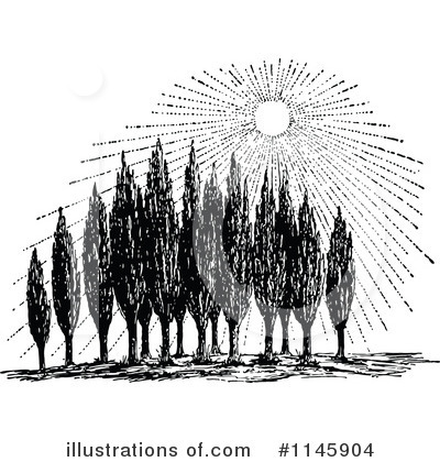 Royalty-Free (RF) Cypress Clipart Illustration by Prawny Vintage - Stock Sample #1145904