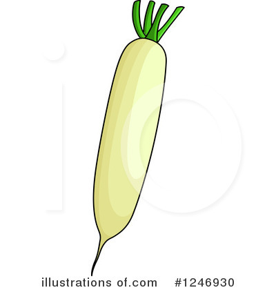 Daikon Clipart #1246930 by Vector Tradition SM