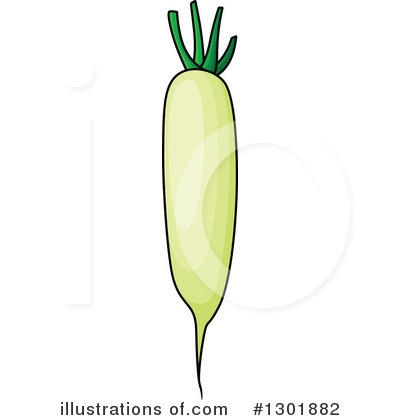 Daikon Clipart #1301882 by Vector Tradition SM