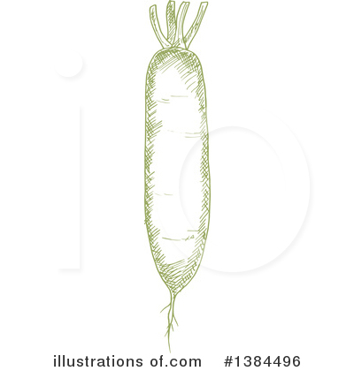 Daikon Radish Clipart #1384496 by Vector Tradition SM