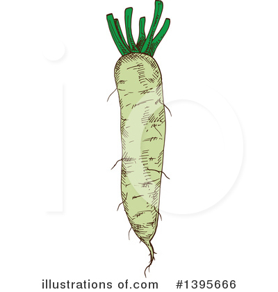 Daikon Clipart #1395666 by Vector Tradition SM