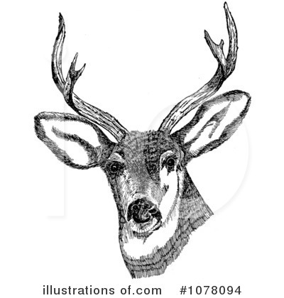 Royalty-Free (RF) Deer Clipart Illustration by JVPD - Stock Sample #1078094