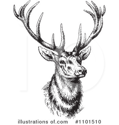 Deer Clipart #1101510 by BestVector