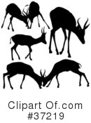 Deer Clipart #37219 by dero