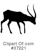 Deer Clipart #37221 by dero
