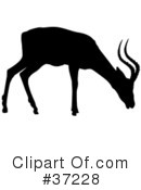 Deer Clipart #37228 by dero